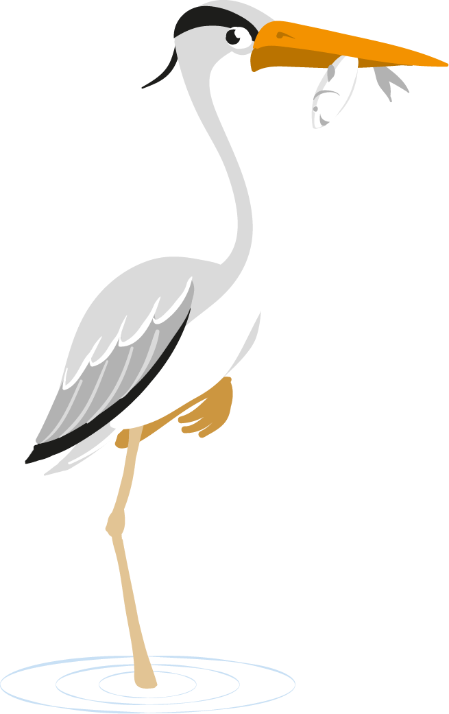 heron-sans-fond copie